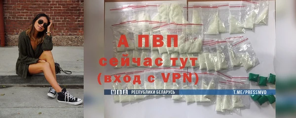 Альфа ПВП Богородск