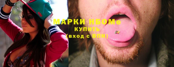 шишки Богородицк