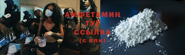 шишки Богородицк