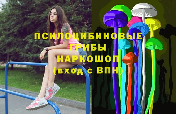Альфа ПВП Богородск