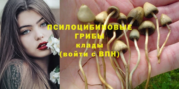 шишки Богородицк