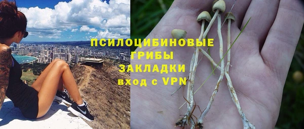 шишки Богородицк