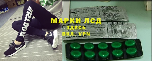 шишки Богородицк
