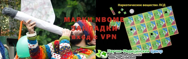 гидра Белокуриха