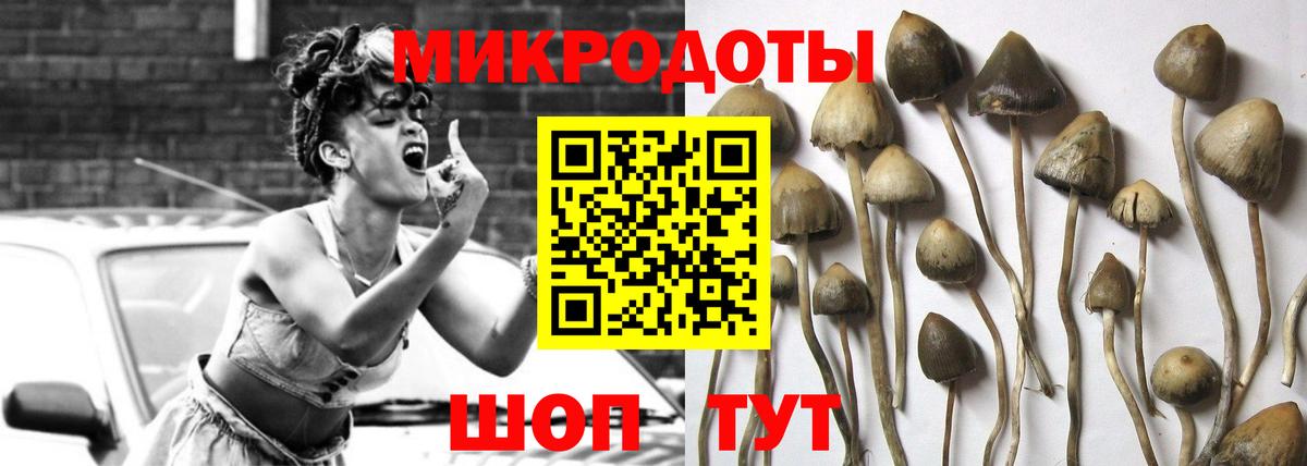 Псилоцибиновые грибы MAGIC MUSHROOMS Надым