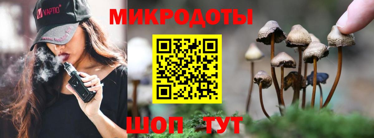 Псилоцибиновые грибы мицелий  Вход с VPN  купить закладку  Надым 